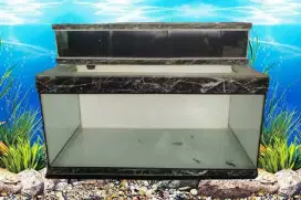 Aquarium Elegant