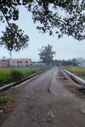 TANAH SAWAH 258M2 DKT JL PARANGTRITIS COCOK UTK KAVLING/HUNIAN.JK13454