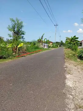 INVESTASI TANAH SAWAH 161M2 250JT NEGO BARAT PEREMPATAN JETIS.JK13455