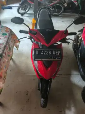 Honda bear 2022