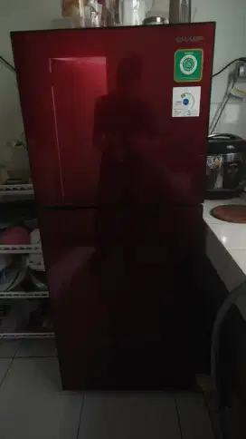 Kulkas Sharp 2 pintu