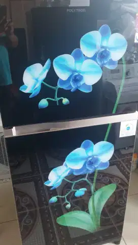 kulkas polytron 2pintu