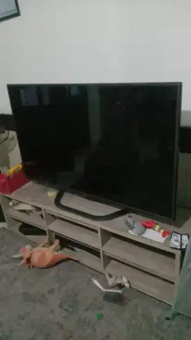 Tv LG 55 Inc masih bagus minus ada garis tipis sehelai benang