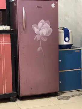 Kulkas polytron 1 pintu