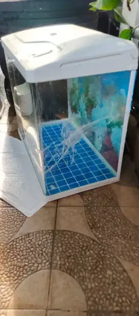 Aquarium akuarium kaca bending