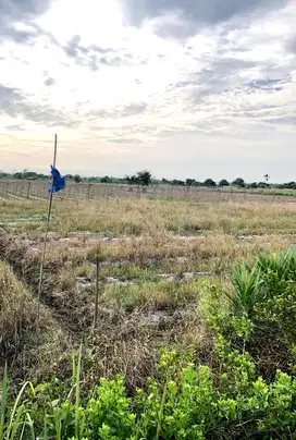 TANAH DARAT DEKAT BANDARA KUALA NAMU