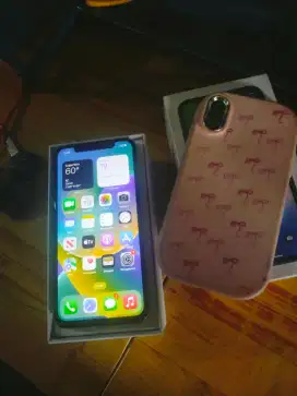 iPhone x 64Gb mulus