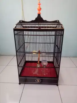 Sangkar ebod jaya ORI no 1 UK 40x45