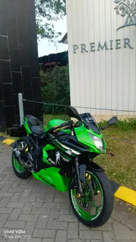 Ninja RR 250 SL
