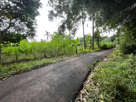 Tanah Cisauk Strategis Untuk Kontrakan, 5 Menit Stasiun Jatake