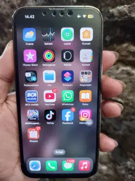 Iphone 13 pro ibox