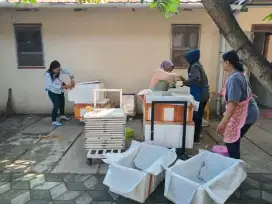 DagDur Premium Termurah Berbah Yogyakarta