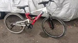 Sepeda MTB Polygon heron Alloy uk24 siap pakai