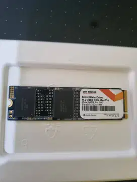Digital Alliance DA Drive pro PCIe 3 x4 M.2 2280 SSD NVMe 256GB