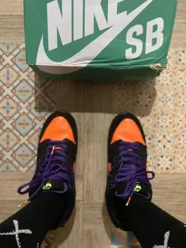 Nike sb dunk low pro