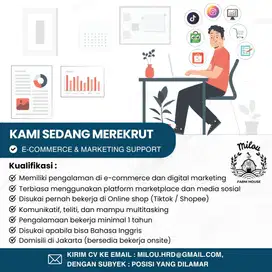 Admin E-Commerce & Marketing Support