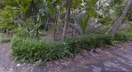 Dijual Cepat Tanah Pekarangan di Temon