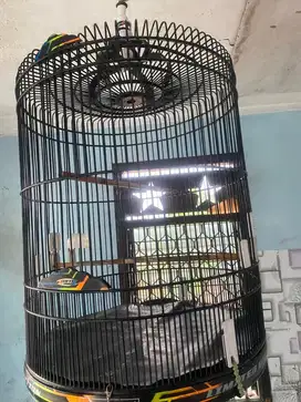 Umbaran / Sangkar murai