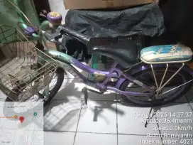 Sepeda anak saya yang langkah