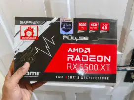 Vga Radeon rx 6500 xt Fullset