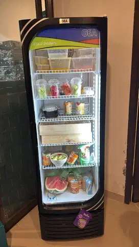 Showcase GEA Freezer 6 Rak