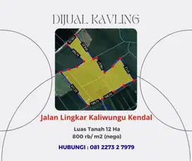 Dijual Cepat Tanah Kavling 12Ha Kawasan Industri Kendal