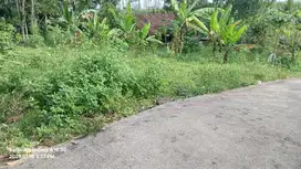 Tanah Murah COcok Untuk Investasi di Boja