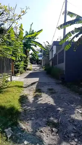 Buc tanah cantik 176m2 itr kuning siulan penatih denpasar timur