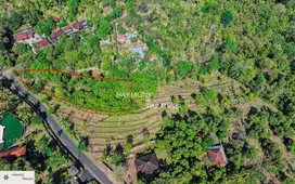 HP-NBL09 Tanah Tepi Sungai 3300m2,SHM, DI Kayuputih-Lovina