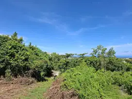 Jual Tanah Harga Global Luas 3.5are siap Bangun Lokasi Jl Pura Matsuka