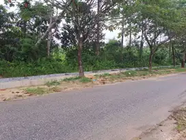 Tanah murah tepi aspal jl Indrapuri Hangtuah, Pekanbru