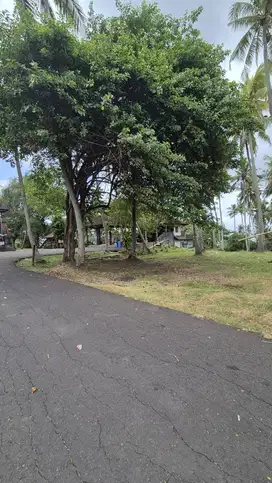 Dijual Tanah Hanya 30 Meter dari Pantai, Berlokasi di Antap, Tabanan