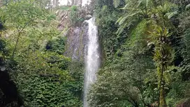 Tanah dengan view Air terjun , sawah dan jungle di tabanan bali