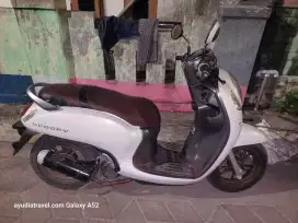 Honda Scoppy Prestige 2022