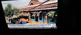 Ada TV LG 41 inchi