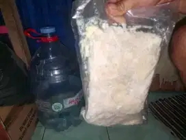 Kulit marinasi Frozen