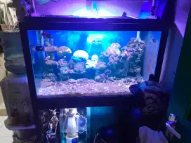 Jual Cepat Aquarium ikan