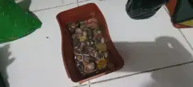 Borongan batu akik sesuai di pic