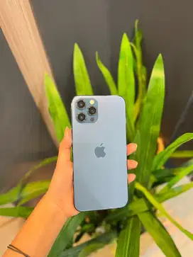 iPhone 12 Promax 128 beacukai