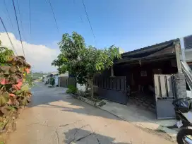 DIKONTRAKAN RUMAH PER TAHUN