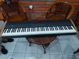 Korg Digital Piano