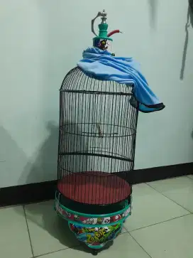 Kandang Kapsul Krodong