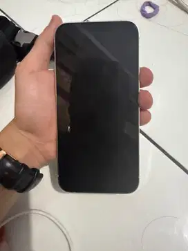 Iphone 12 Pro Max 256 Inter Only Batangan