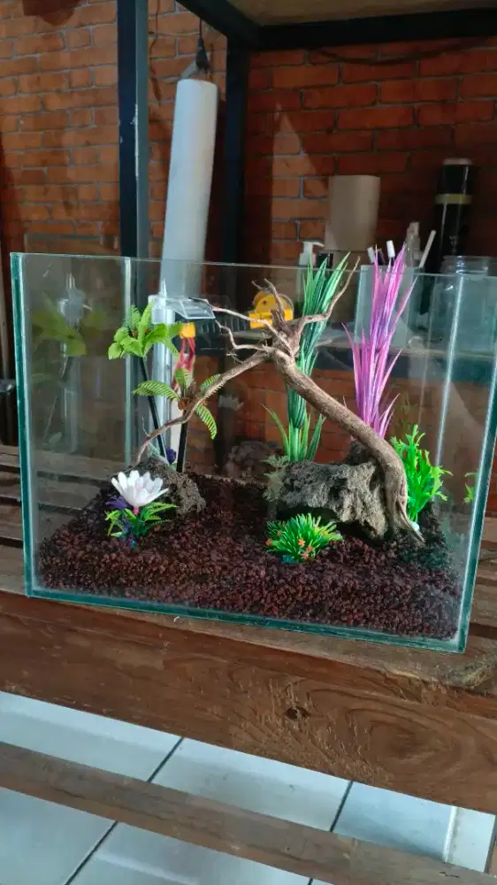 aquarium 1sett 33x25x22 1sett