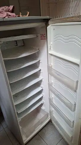 Freezer Sharp 1 Pintu – Dingin Normal Siap Pakai