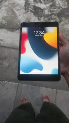 Ipad mini 4 ex ibox