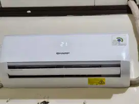 Ac sharp 1/2pk second