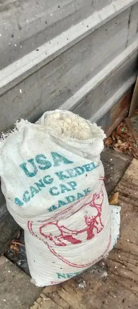 Ampas Tahu Fresh