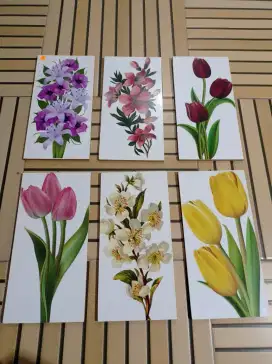 Preloved Wall decor Frame Gambar Bunga Set 6 Flower Tulip Anggrek