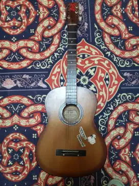 GITAR YAMMAHA FG 460
